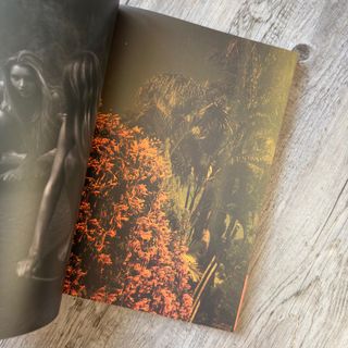 La Isla by Kate Bellm - Mirage Edition No. 1