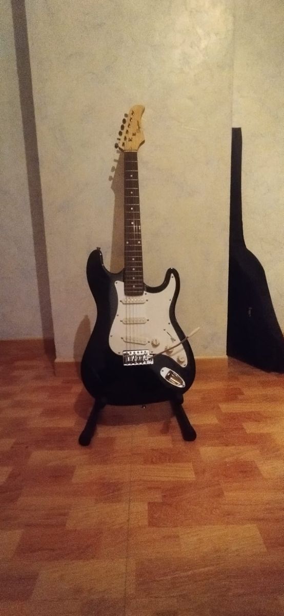 Guitarra eléctrica + funda