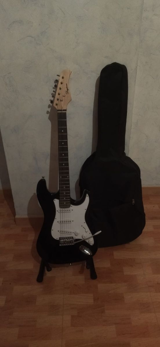 Guitarra eléctrica + funda