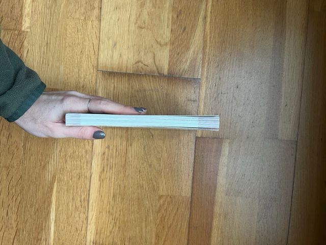 BAT PAT. GAUERDIKO SORGINAK