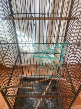 Jaula pajaros grande negra