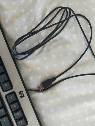 Teclado HP USB - Negro y Plata