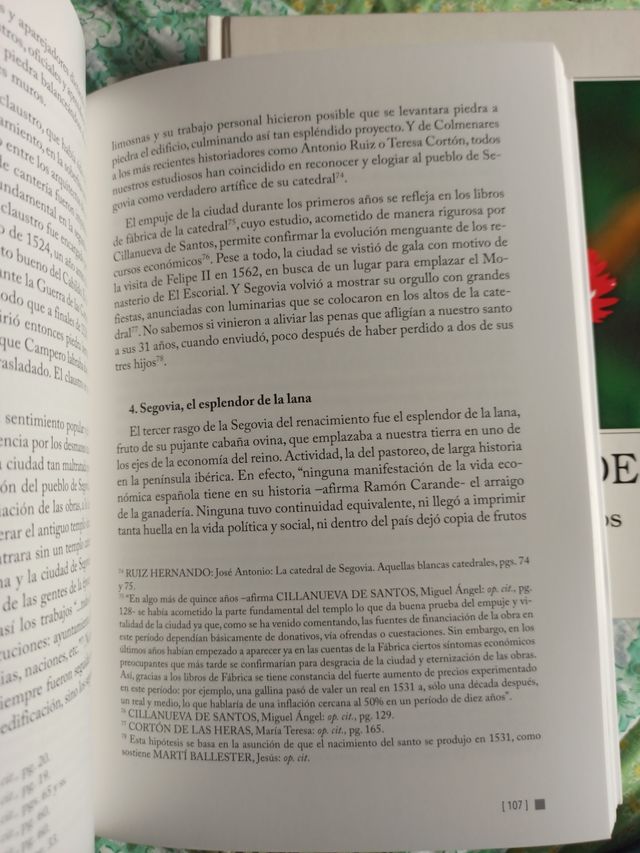 Libro San Alfonso Rodríguez