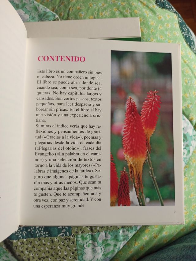 Libro Fiesta al atardecer