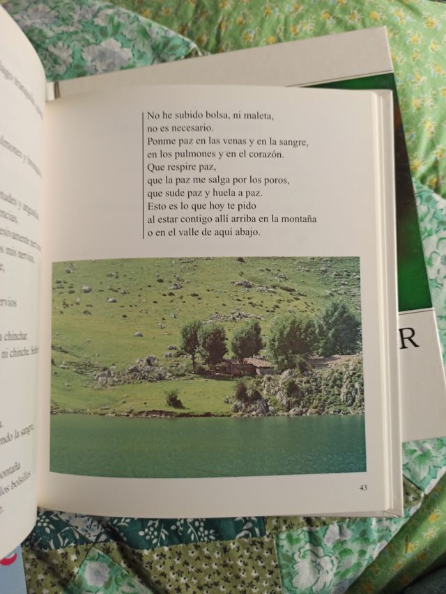 Libro Fiesta al atardecer