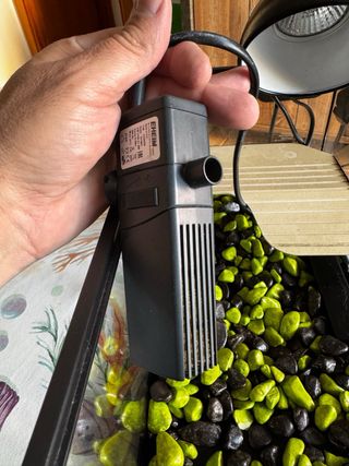 Terrario para reptiles - Pecera