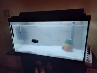 Acuario con mesa