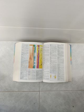 Diccionario Secundaria y Bachillerato. Lengua e...