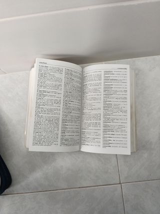 Diccionario Secundaria y Bachillerato. Lengua e...