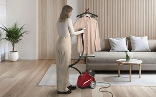 Plancha de vapor vertical SIN ESTRENAR
