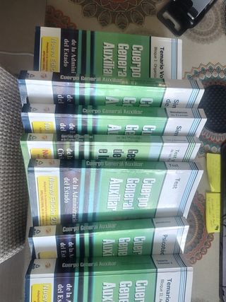 Cuerpo Auxiliar De La Administración Del Estado