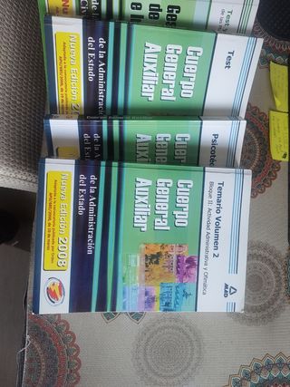 Cuerpo Auxiliar De La Administración Del Estado