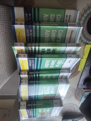 Cuerpo Auxiliar De La Administración Del Estado