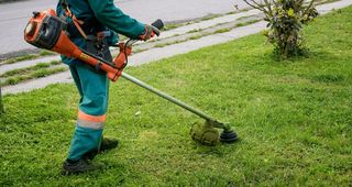 ¡Servicio de Desbroce Profesional!