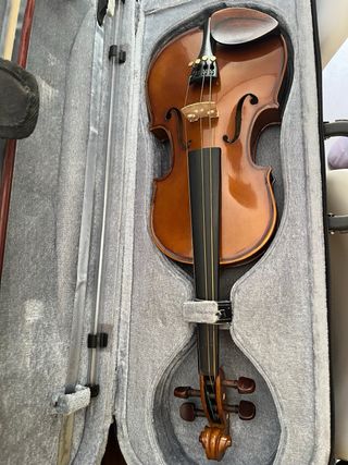 Viola Stentor
