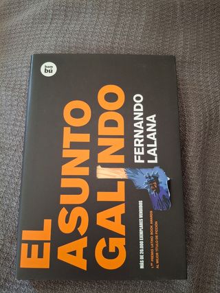 El asunto Galindo de Fernando Lalana