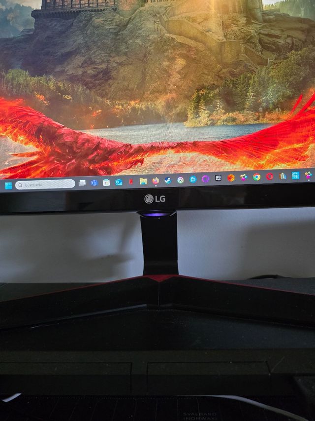 Monitor LG 29 pulgadas