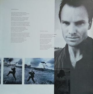 Sting - The Dream of the Blue Turtles 