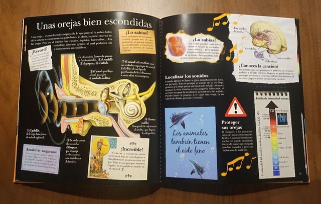 El asombroso cuerpo humano (Spanish Edition)