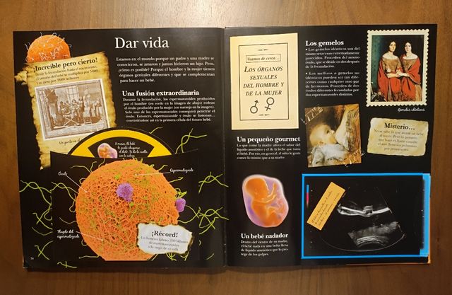 El asombroso cuerpo humano (Spanish Edition)