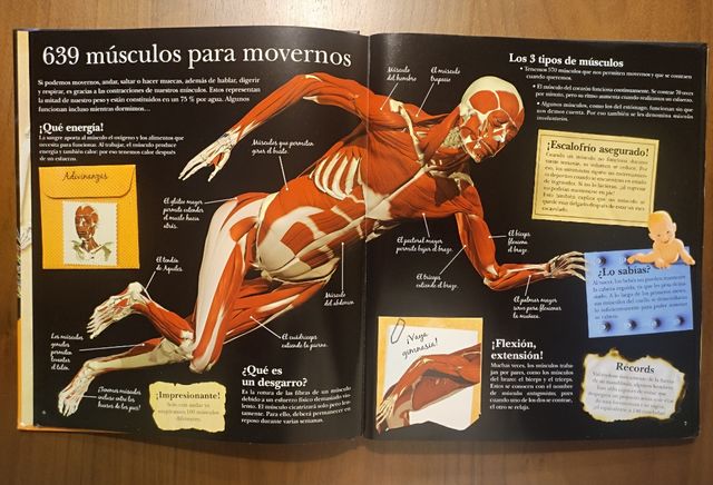 El asombroso cuerpo humano (Spanish Edition)