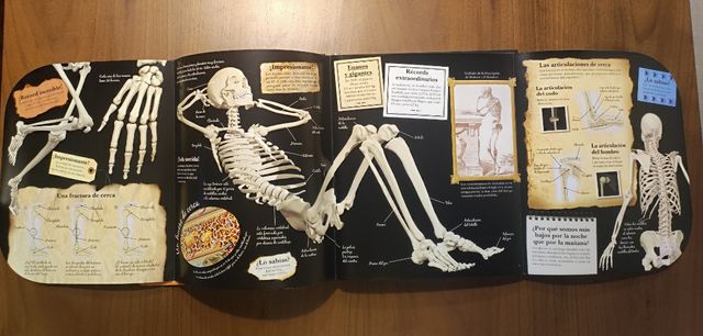 El asombroso cuerpo humano (Spanish Edition)