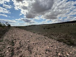 PARCELA TERRENO YECLA.NACIONAL 344-