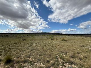 PARCELA TERRENO YECLA.NACIONAL 344-