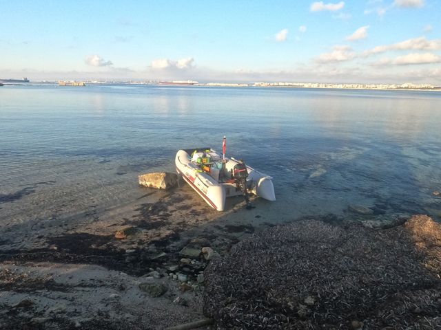 Gommone Yamaha 310S usato