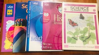 Lote libros de texto ingleses.