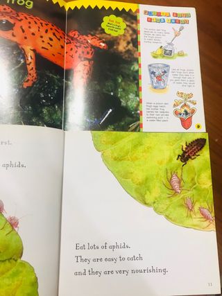 Lote de libros de animales en inglés 