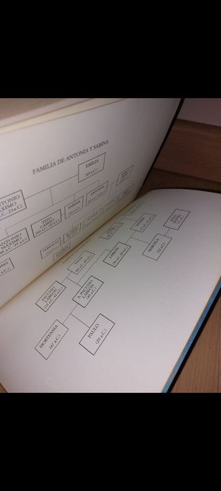 LIBRO - La Casa de la Piedad - NOVELA HISTÓRICA