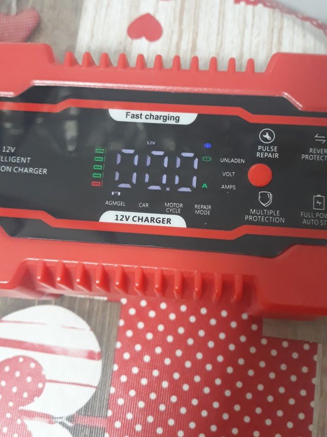 Cargador batería inteligente 12 y 24