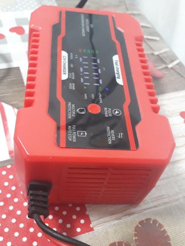Cargador batería inteligente 12 y 24