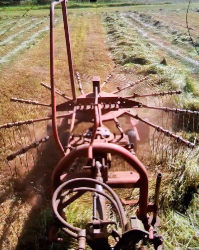 Rastrillo Sip Star 400