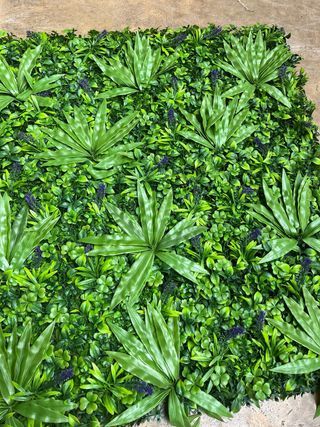 Lote 4 unidades jardin vertical Jungle 1mx1m