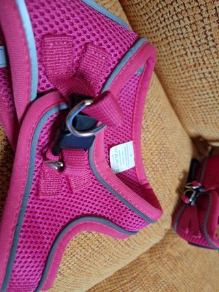 Arnés de perro talla S de 3 a 4 kg