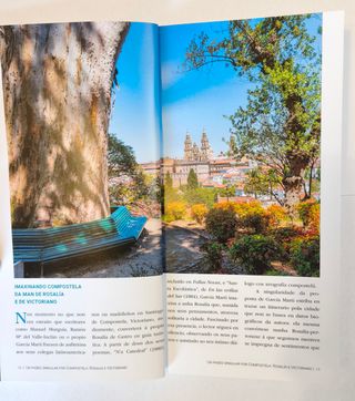 Un paseo singular por Compostela (Arantxa Fuentes)