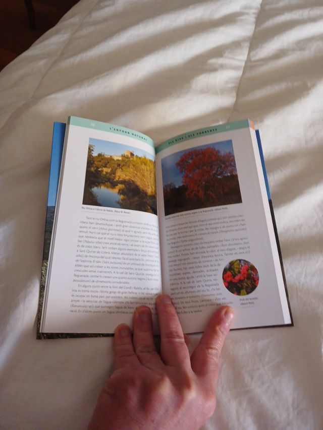 Els Aspres de l'Albera