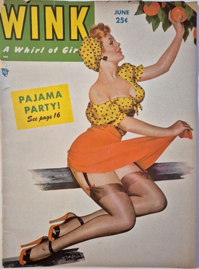 Revista Wink A whirl of Girl