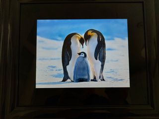 MARCO FOTOS DIGITAL TOSHIBA