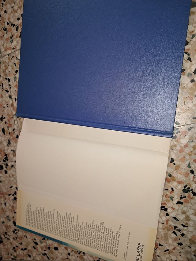 Libro illustrato "Il grande libro delle montagne"