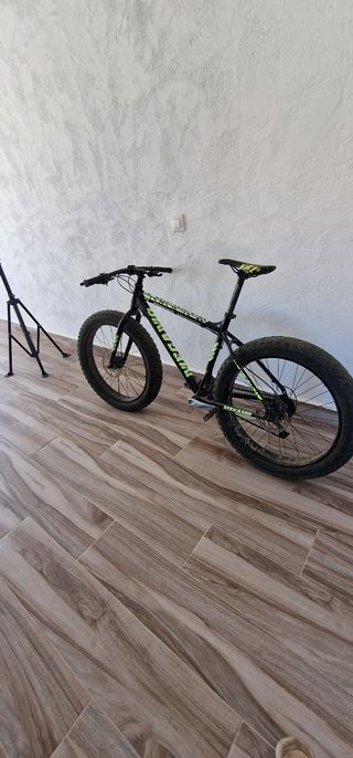 Bicicleta ruedas gordas