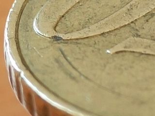 50 Céntimos € Francia 1999  Error de Acuñación [2]