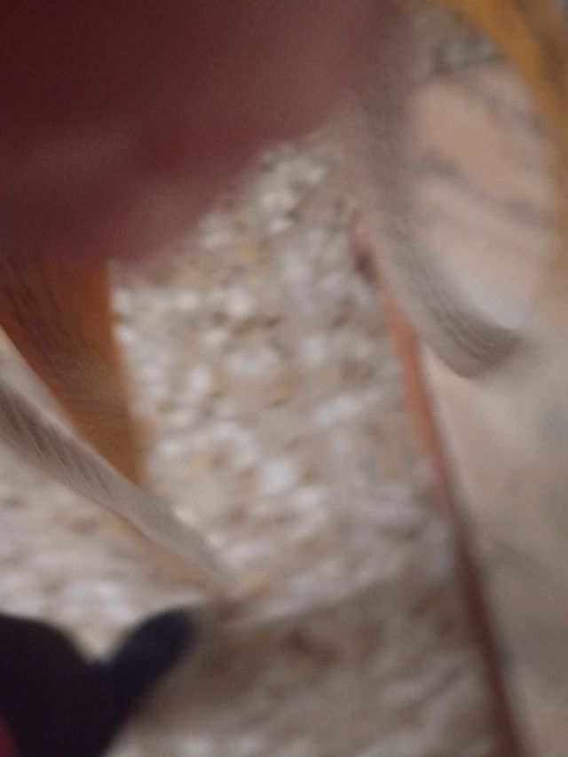 Mesa centro mármol-madera Venta en persona