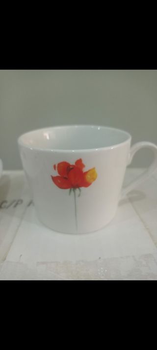 Juego café porcelana - Flores rojas