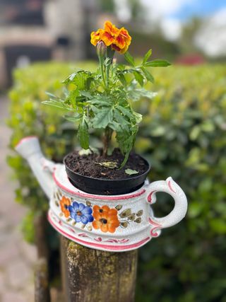 Copri vaso