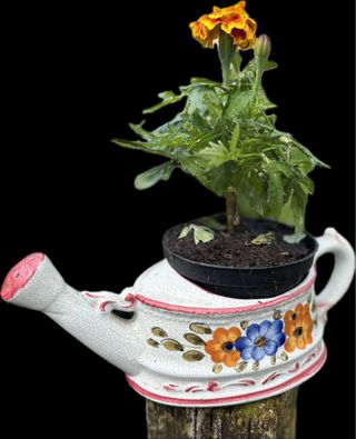 Copri vaso