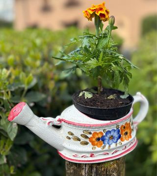Copri vaso
