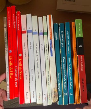 Libros en valenciano